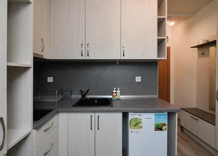 Апартаменты Budget In Center Unde Roof