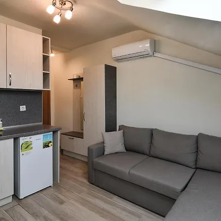 Appartement Budget In Center Unde Roof *