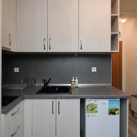 Appartement Budget In Center Unde Roof