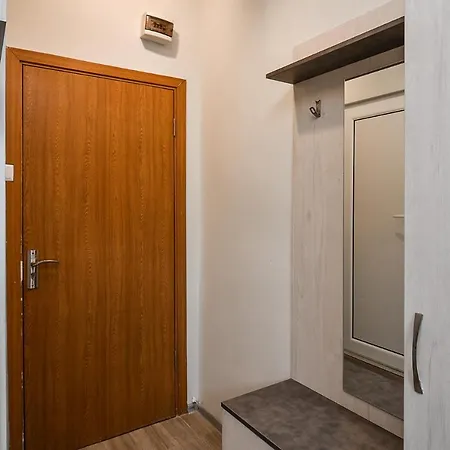 Budget In Center Unde Roof Apartament *