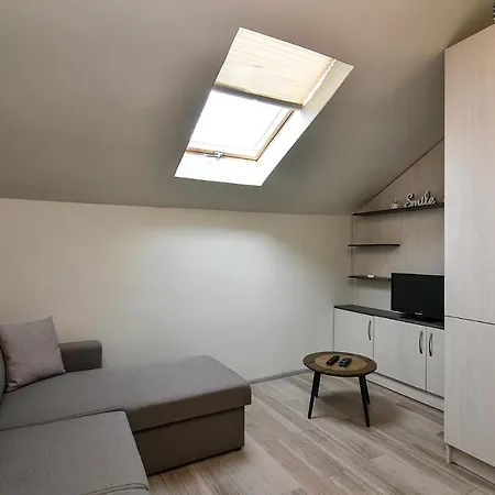 Apartament Budget In Center Unde Roof