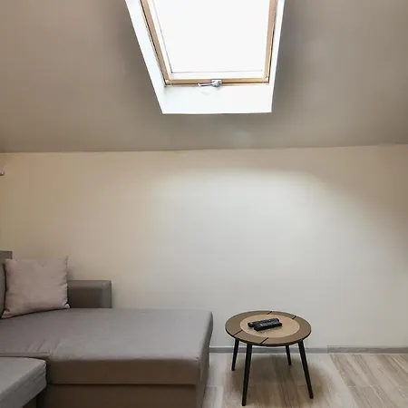 Appartement Budget In Center Unde Roof