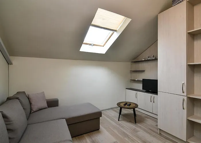 Daire Budget In Center Unde Roof